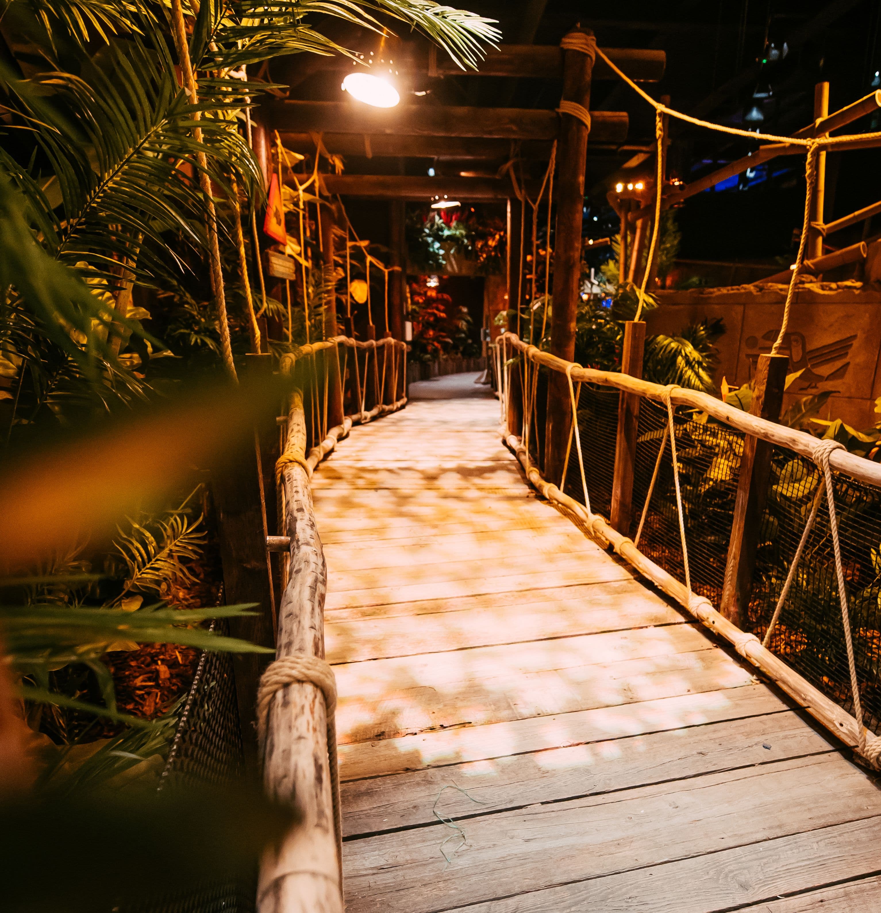 Swing-bridge entrance into Treetop Adventure golf, shrouded in shrubbery and support ropes.